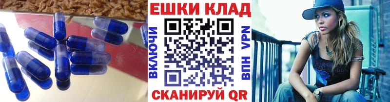 hydra tor  закладка  Лодейное Поле  ЭКСТАЗИ Punisher 