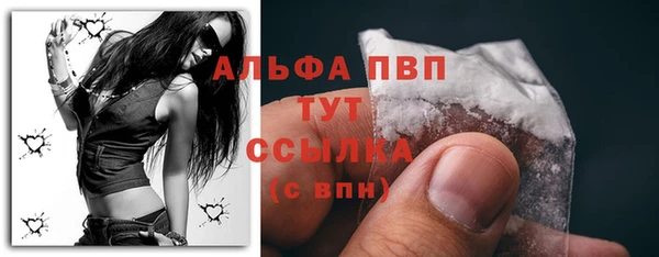 apvp Магадан