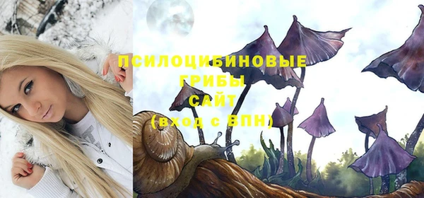 не бодяженный Аркадак