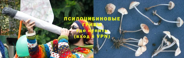 стаф Медвежьегорск