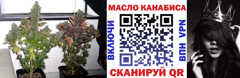 omg tor  Лодейное Поле  ТГК концентрат  сколько стоит 
